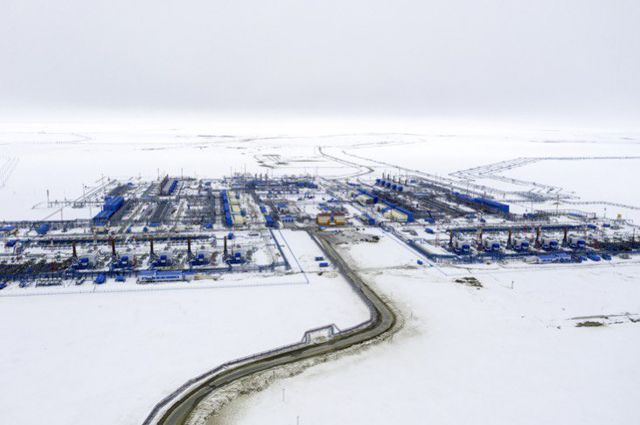 Труба убытков. Как Россия будет достраивать «Северный поток-2»