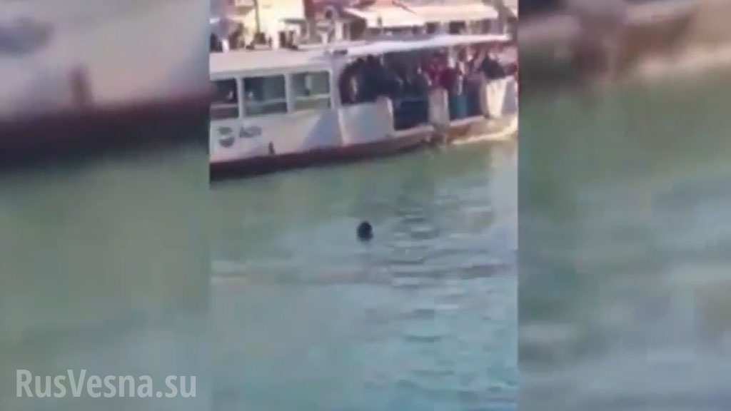 Шокирующие кадры: В Венеции под смех туристов утонул беженец из Африки (ВИДЕО)
