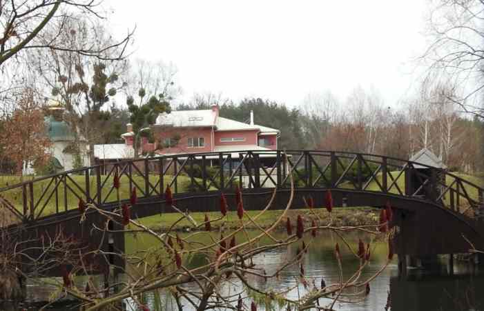 Одиозный соратник Яценюка в новогодний вечер открыл огонь и схлопотал бутылкой по голове 