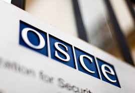 ОБСЕ фиксирует «неприемлемо высокое» количество нарушений прекращения огня в Донбассе – Хуг