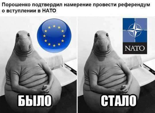 Порошенко и Ко уже нечего «вбрасывать» в общество — киевский публицист высмеял идею референдума о НАТО 