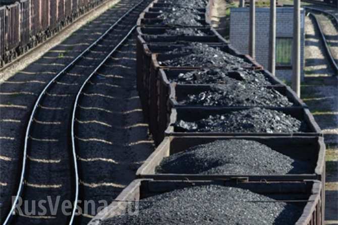 Украина нашла альтернативу углю из Донбасса