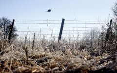 Россия ввела пограничную зону с Белоруссией без предупреждения