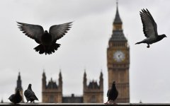 Британские депутаты подавляющим большинством поддержали закон о Brexit