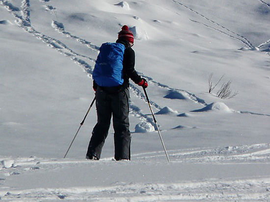 Грабитель прошел на лыжах 30 километров ради 2 тысяч рублей