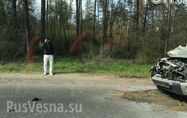 Украинский боксер столкнулся с лосем (ФОТО) 