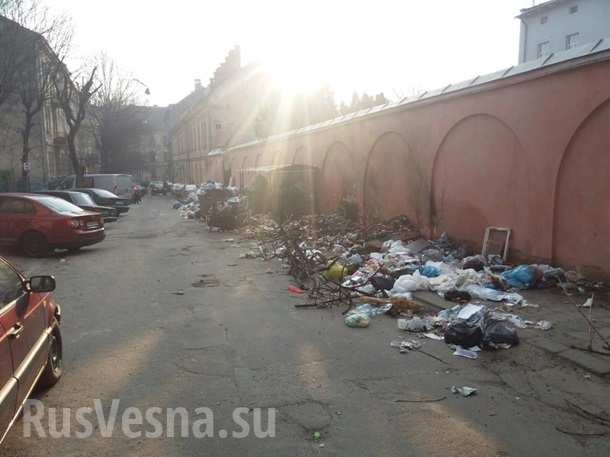 В центре Львова мусор парализовал автомобильное движение (ФОТО)