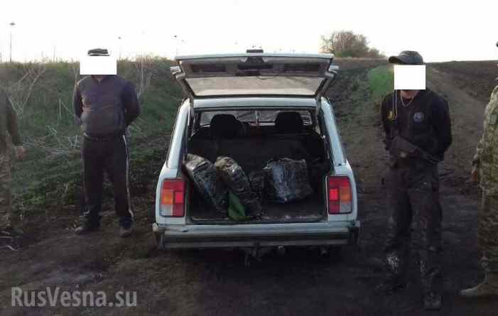 Типичная Украина: в Россию пытались нелегально вывезти 200 кг сала (ФОТО)