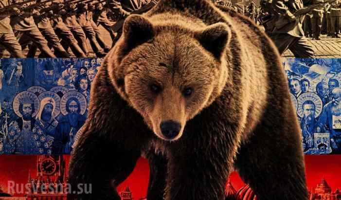 Русский медведь показал арктический оскал, — пресса Швейцарии (ВИДЕО)