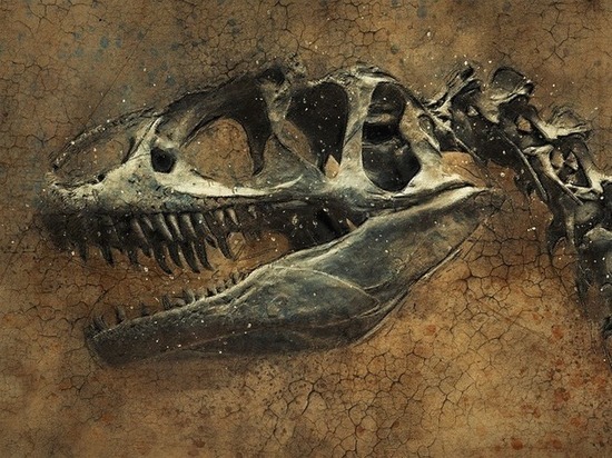 Найден зуб динозавра, переворачивающий представления об истории Земли
