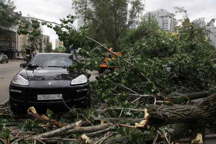 СМИ назвали возможного виновника задержки СМС-рассылки об урагане в Москве