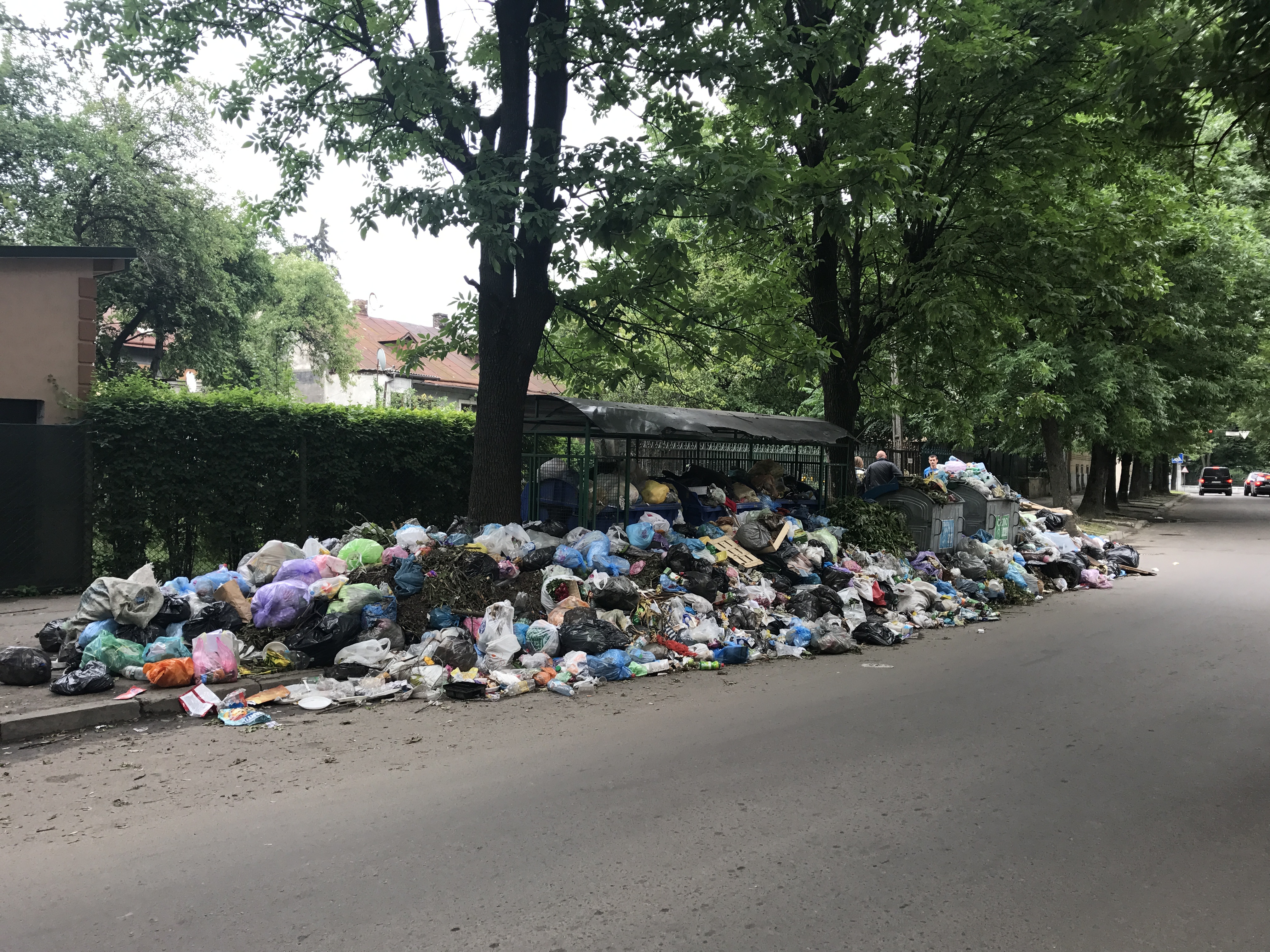 Опарыши толщиной в палец — львовская королева-свалка на улице героев УПА 