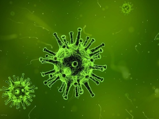 От превращения в супервирус птичий грипп отделяют две мутации