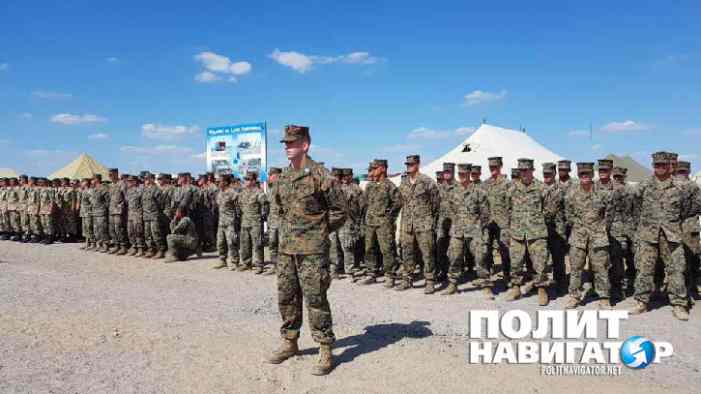 Масштабные учения НАТО начались под Одессой Масштабные учения НАТО начались под Одессой