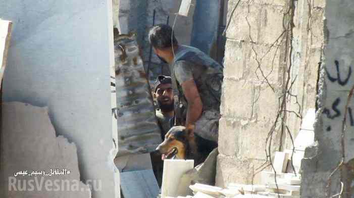 Городские бои: Спецназ САА с собаками выискивает норы боевиков и отвоевывает кварталы под Дамаском (ФОТО)