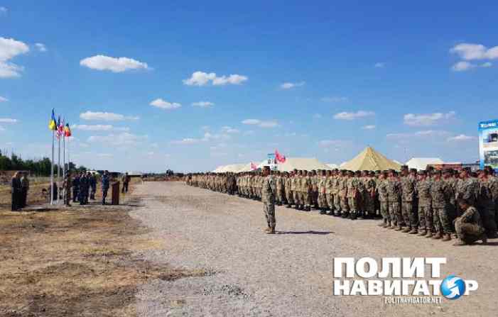 Масштабные учения НАТО начались под Одессой Масштабные учения НАТО начались под Одессой