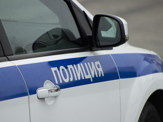 Челябинский рецидивист убил и расчленил 10-летнего школьника 