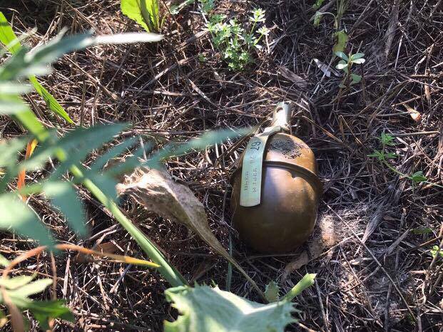 В селе под Одессой четверо бандитов с гранатой напали на полицейских, разоружили их и отобрали авто 