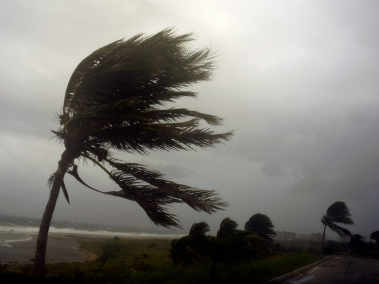 Ураган «Ирма» оставил без света половину жителей Флориды