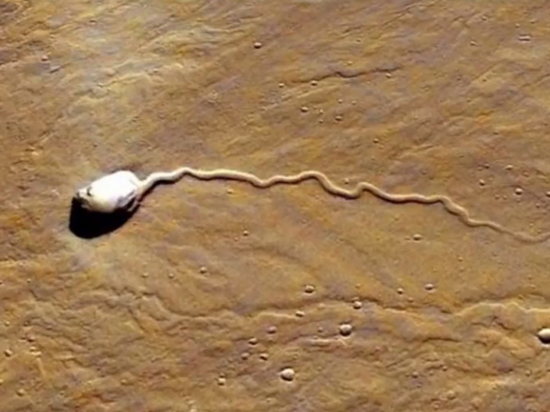 На Марсе уфологи заметили семикилометровый «сперматозоид»