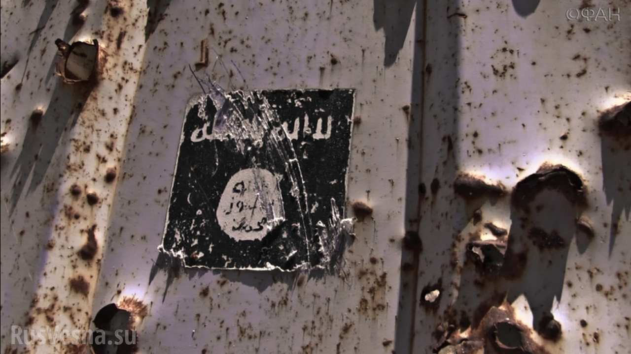 Дорога к миру: что ждёт Сирию после разгрома ИГИЛ Дорога к миру: что ждёт Сирию после разгрома ИГИЛ