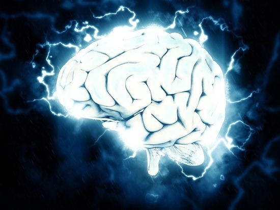Рекордная «прожорливость» человеческого мозга объявлена мифом