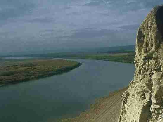 Сенсационное открытие российских ученых: Якутия была тропиками в эпоху динозавров