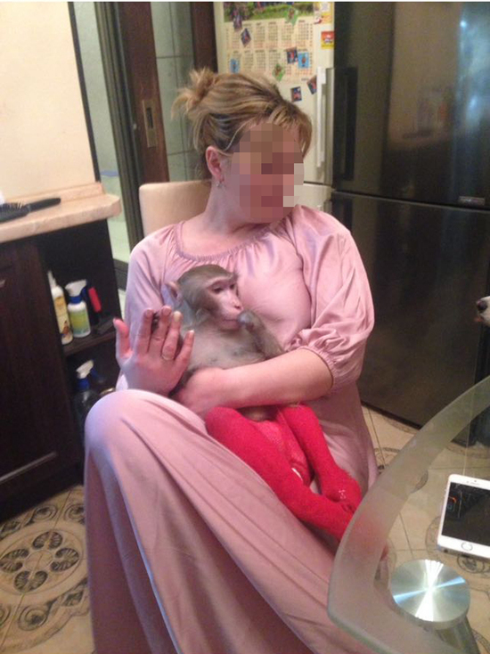 Москвич, задержанный за убийство обезьяны, свалил все на уличных хулиганов Москвич, задержанный за убийство обезьяны, свалил все на уличных хулиганов