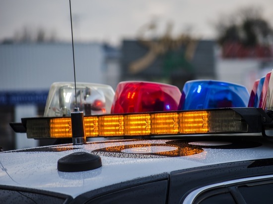 Немецкие полицейские не пропустили фуры с американскими гаубицами Немецкие полицейские не пропустили фуры с американскими гаубицами