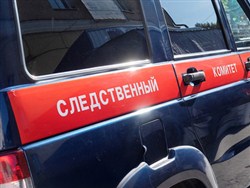 Задержавшими Голунова полицейскими занялись в СКР