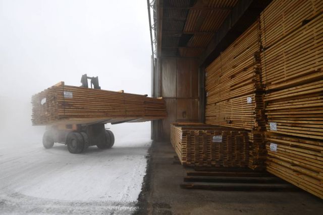 Лес дремучий. Почему Россия не может наладить переработку древесины