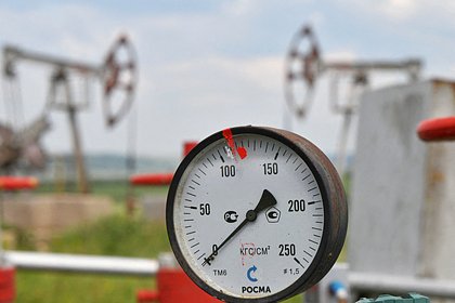 Фото: Лента.Ру