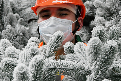 Фото: Лента.Ру