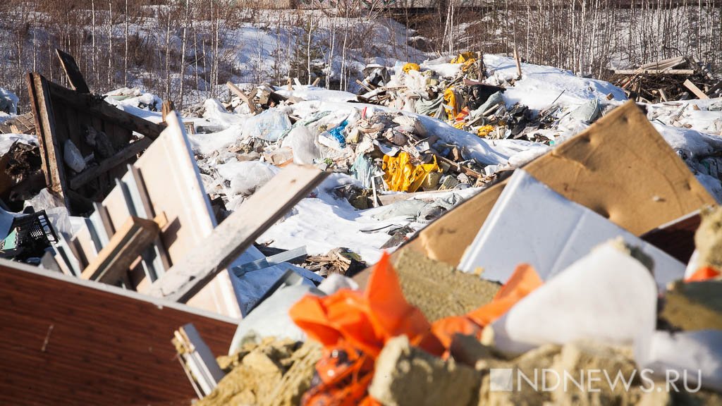 Фото: newdaynews.ru