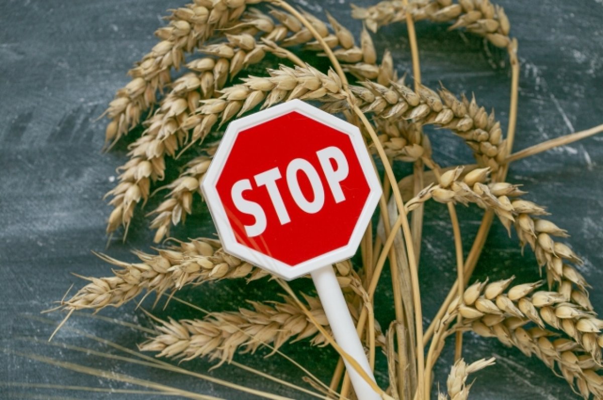 «Гордость и слабоумие». Эксперт оценил угрозы ЕС об отказе от зерна из РФ